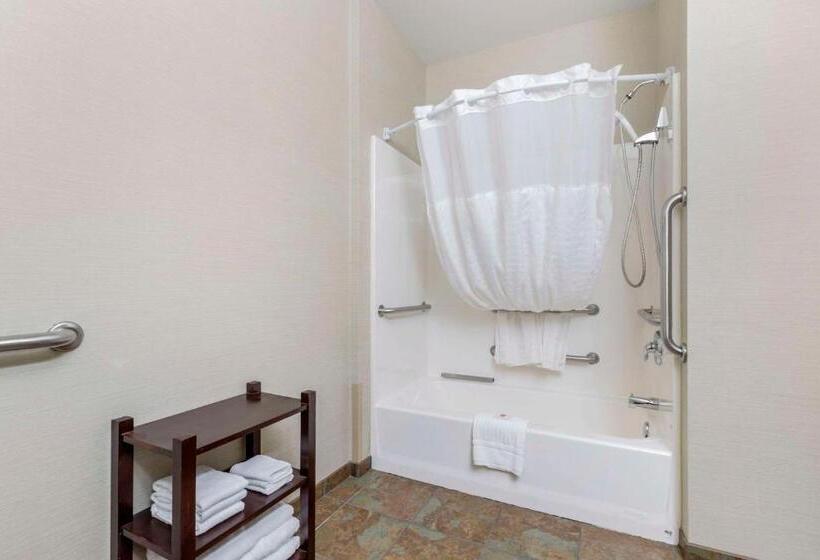 فندق Comfort Inn & Suites Mitchell I 90