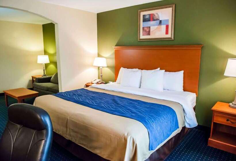 ホテル Comfort Inn & Suites Chipley I10