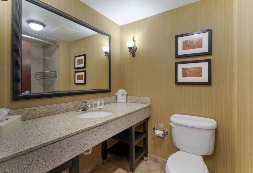 호텔 Comfort Suites Kodak Sevierville