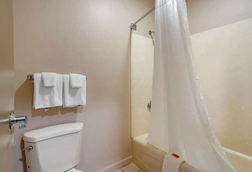 酒店 Econo Lodge  Inn & Suites