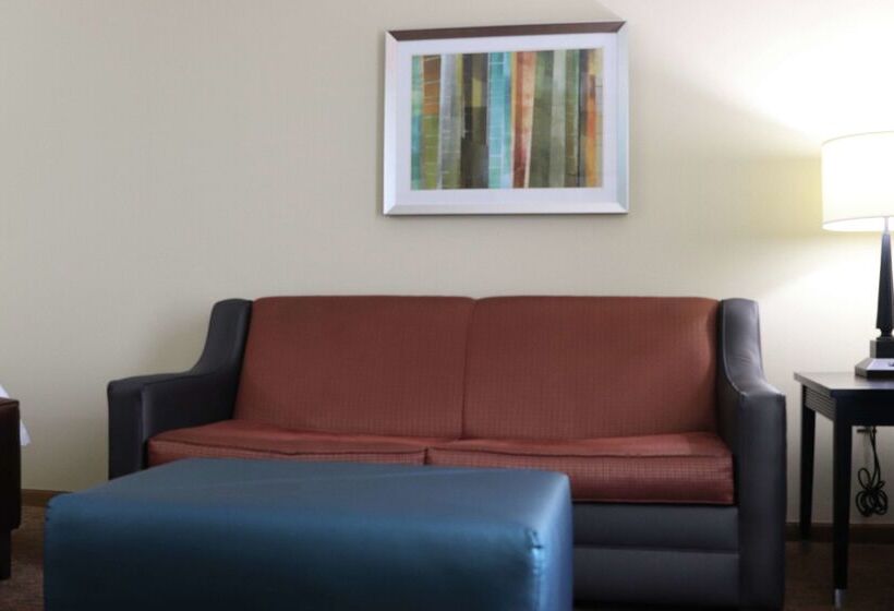 호텔 Hampton Inn Austin/oak Hill