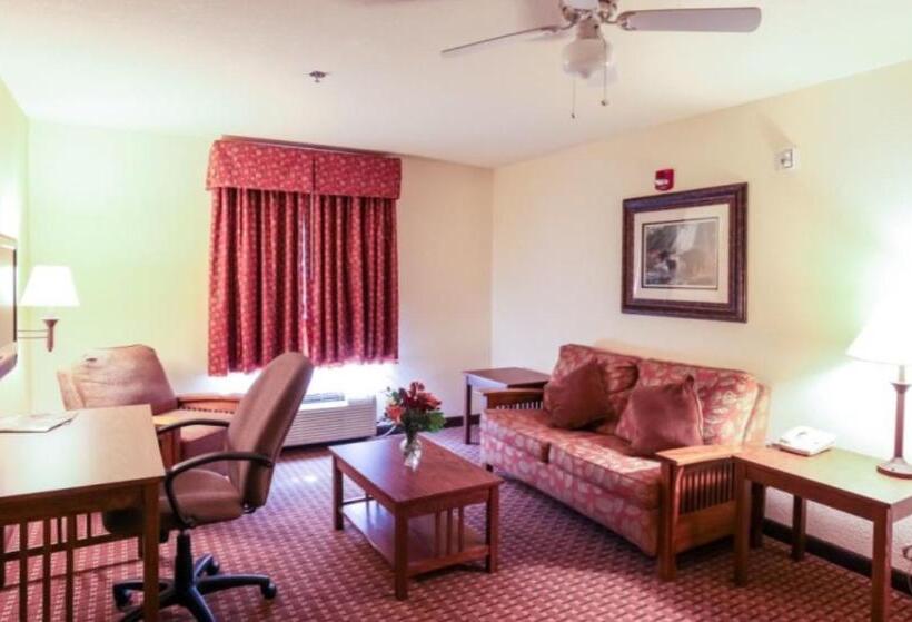 هتل Mountain Inn & Suites Airport   Hendersonville