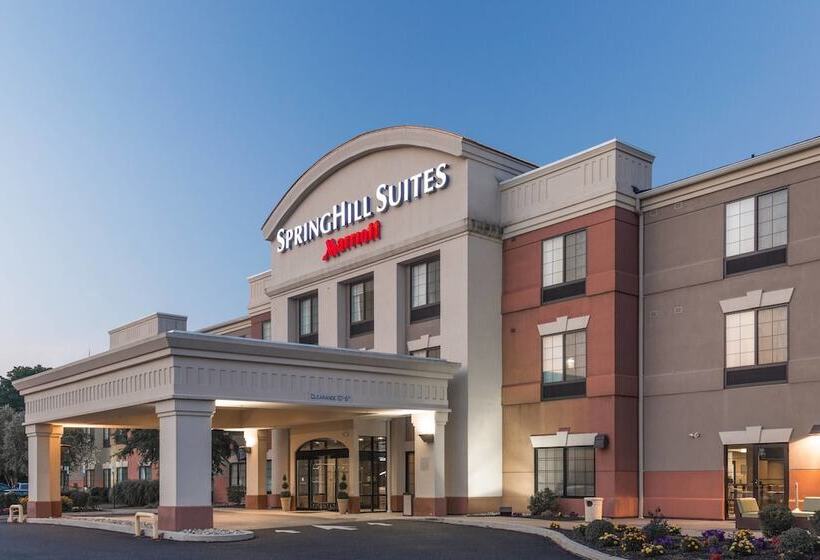 酒店 Springhill Suites Quakertown Pennsylvania