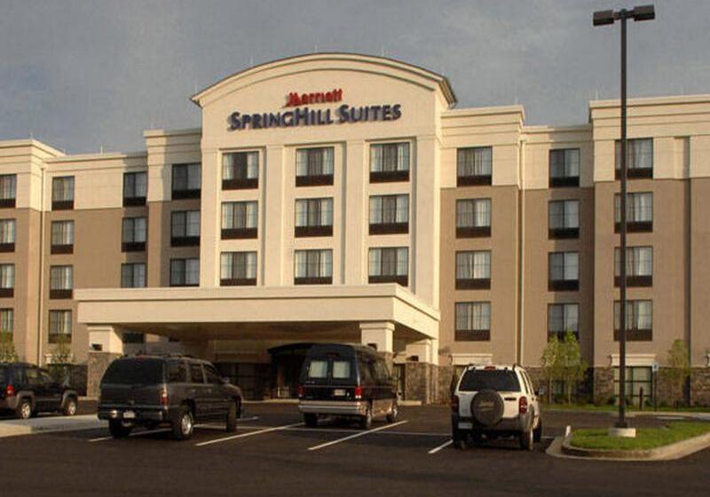 هتل Springhill Suites By Marriott Wheeling Triadelphia Area