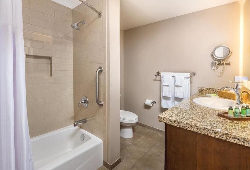 渡假胜地  Worldmark Indio