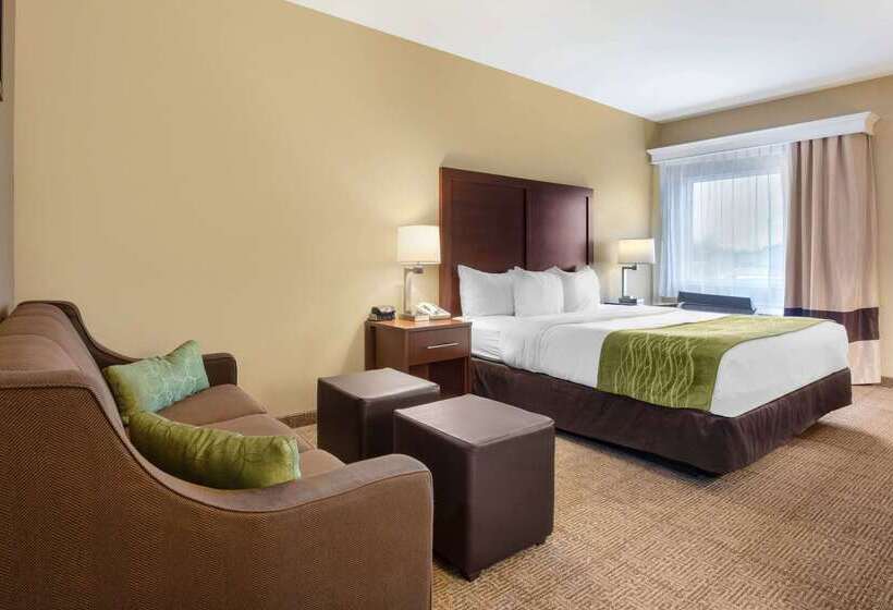 酒店 Comfort Inn Us 60 63