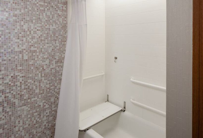 Springhill Suites By Marriott Detroit Metro Airport Romulus