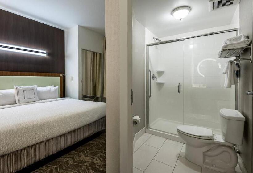 Springhill Suites Statesboro University Area