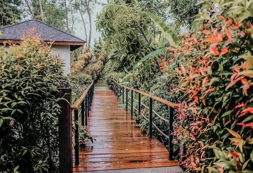 منتجع The Mangrove By Blu Monkey