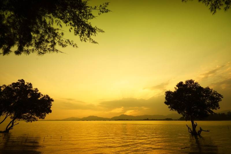 منتجع The Mangrove By Blu Monkey