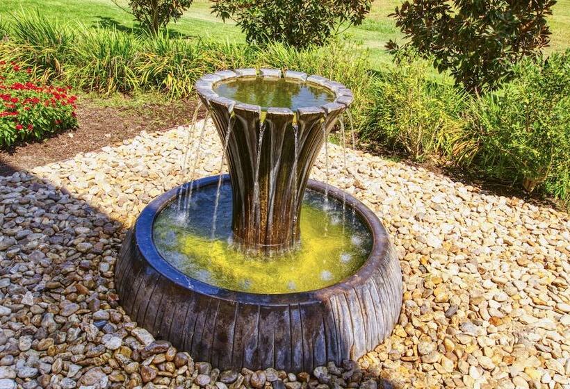 ホテル Comfort Suites Waco North  Near University Area