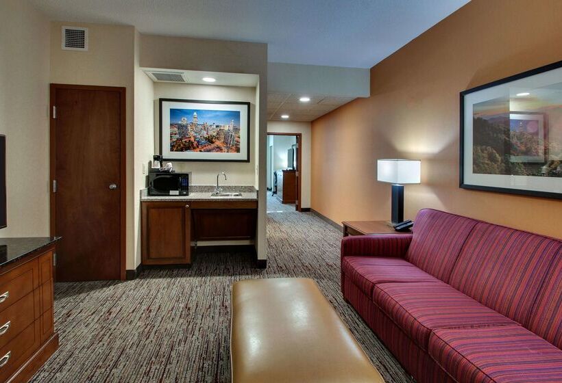 בית מלון כפרי Drury Inn & Suites Charlotte Northlake