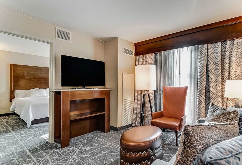 هتل Embassy Suites Atlanta   Kennesaw Town Center