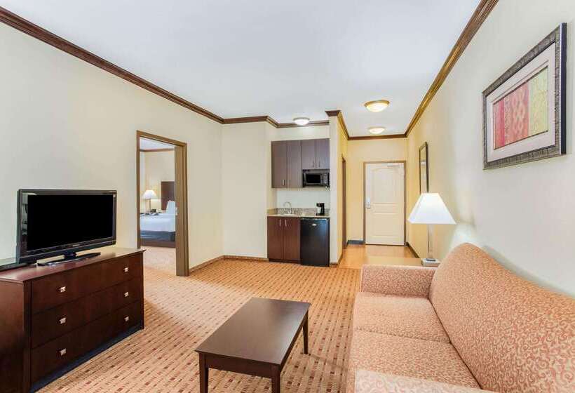 酒店 La Quinta By Wyndham Ennis