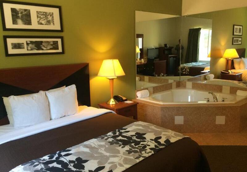 فندق Sleep Inn & Suites Hiram   Atlanta Northwest