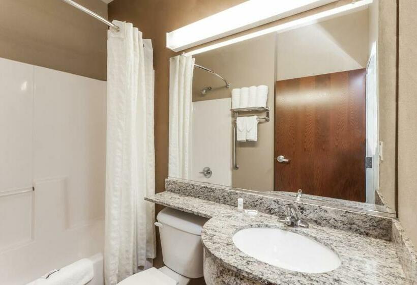 Microtel Inn & Suites By Wyndham Michigan City