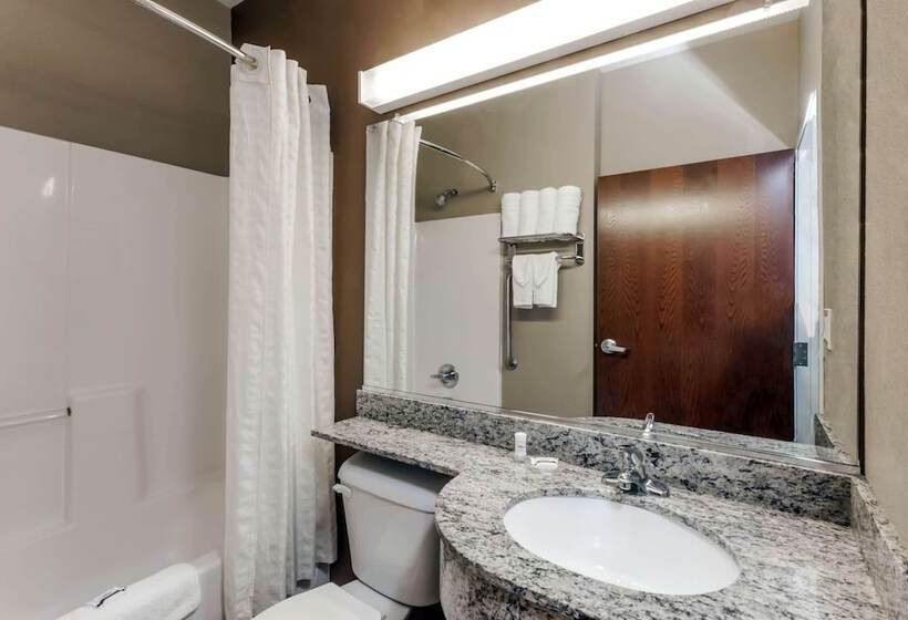 Microtel Inn & Suites By Wyndham Michigan City