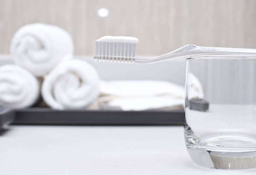 汽车旅馆  Budget Inn Of Lynchburg And Bedford