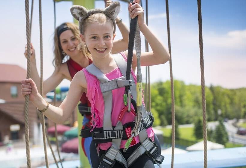 استراحتگاه Great Wolf Lodge Concord