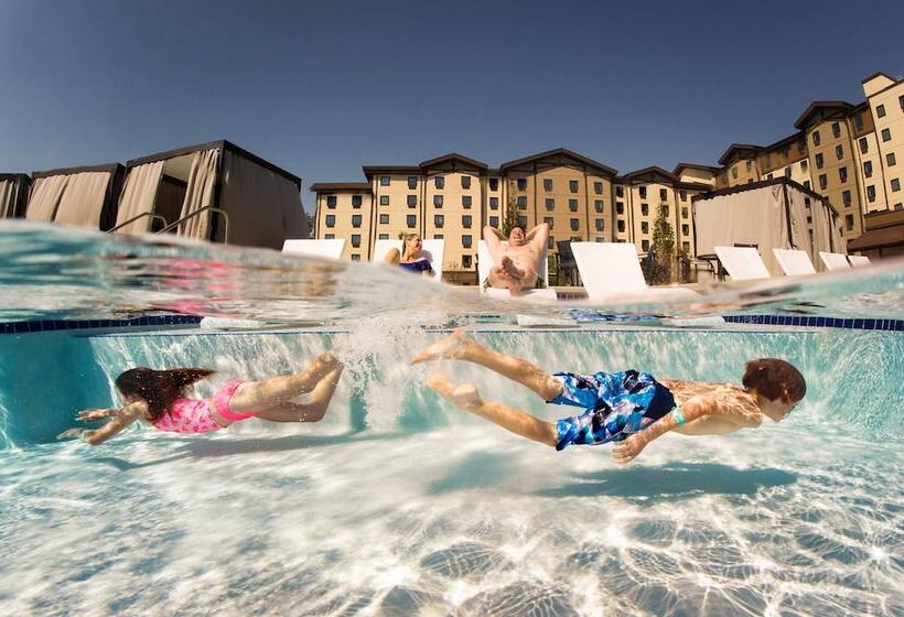 استراحتگاه Great Wolf Lodge Concord