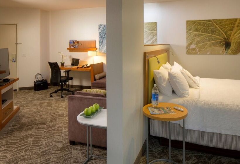 Springhill Suites Anchorage University Lake