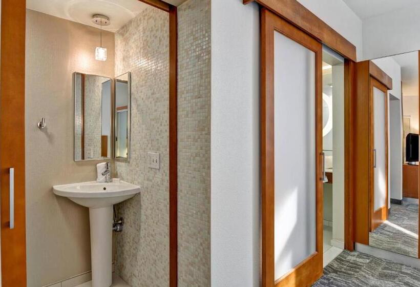 Springhill Suites By Marriott Cincinnati Midtown