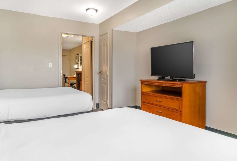 ホテル Country Inn & Suites By Radisson, Toledo South, Oh