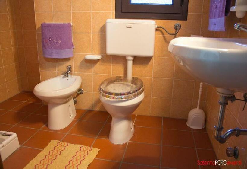 Exedra Holiday House