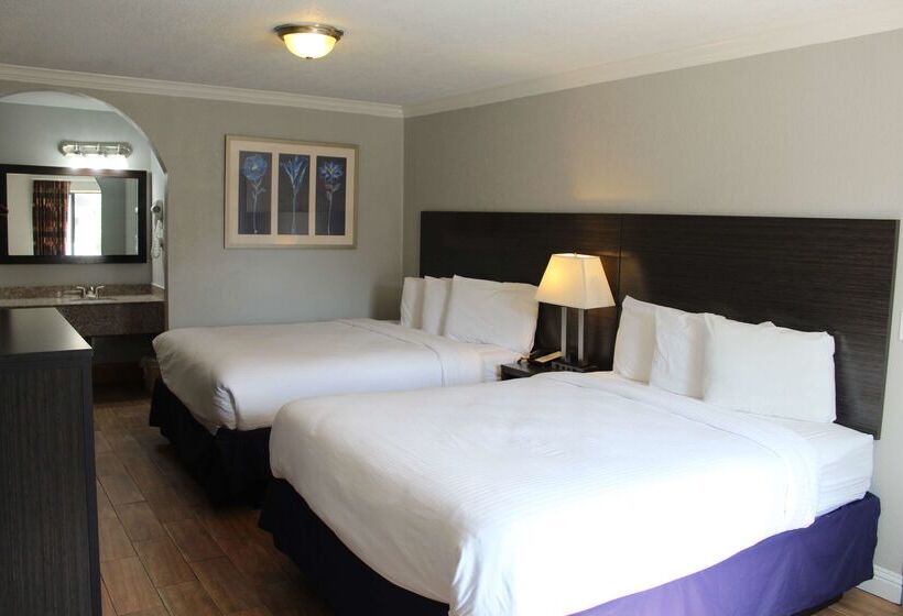 酒店 Americas Best Value Inn Medical Center Downtown