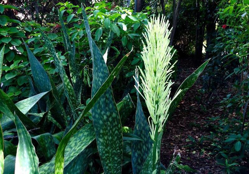 בית מלון כפרי Azul Del Mar