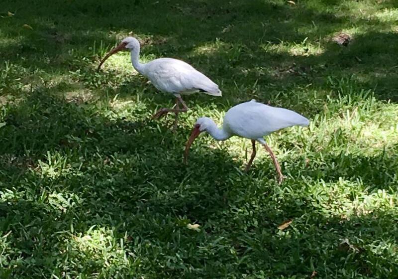 בית מלון כפרי Azul Del Mar