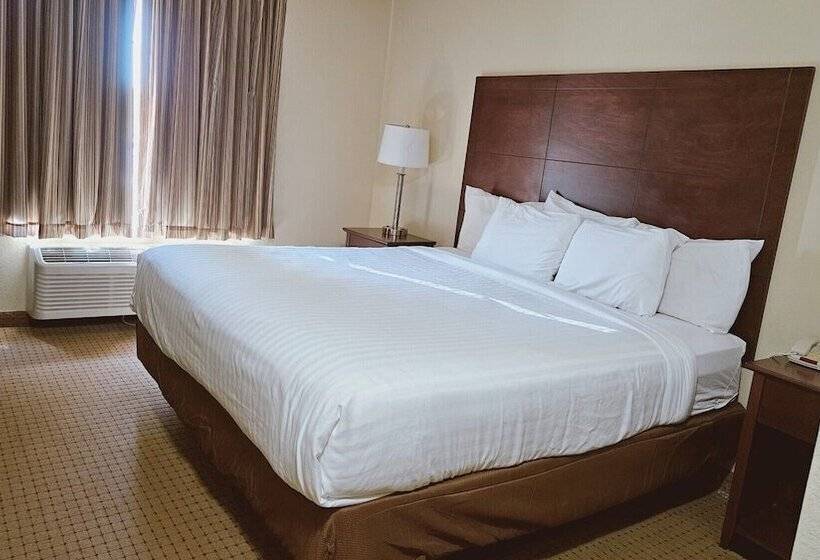 فندق Cobblestone Inn & Suites  Bloomfield