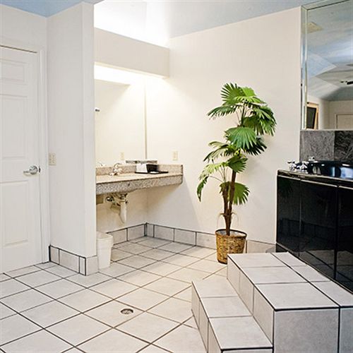 호텔 Palace Inn &Suites Willowbrook