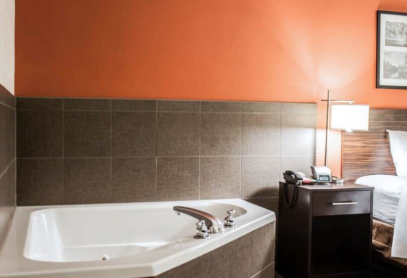 酒店 Sleep Inn & Suites Fort Campbell