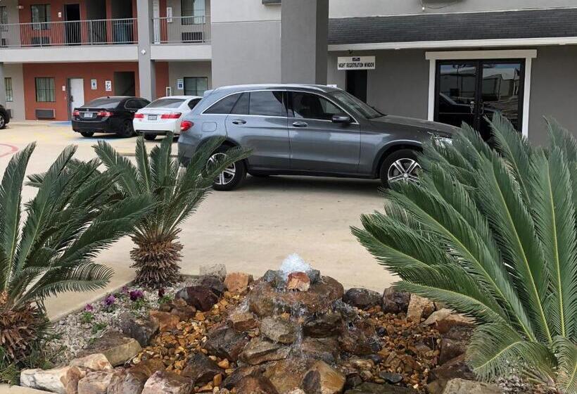 汽车旅馆  Executive Inn & Suites Joaquin