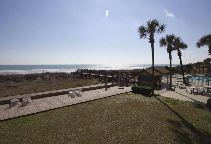 Peppertree By The Sea