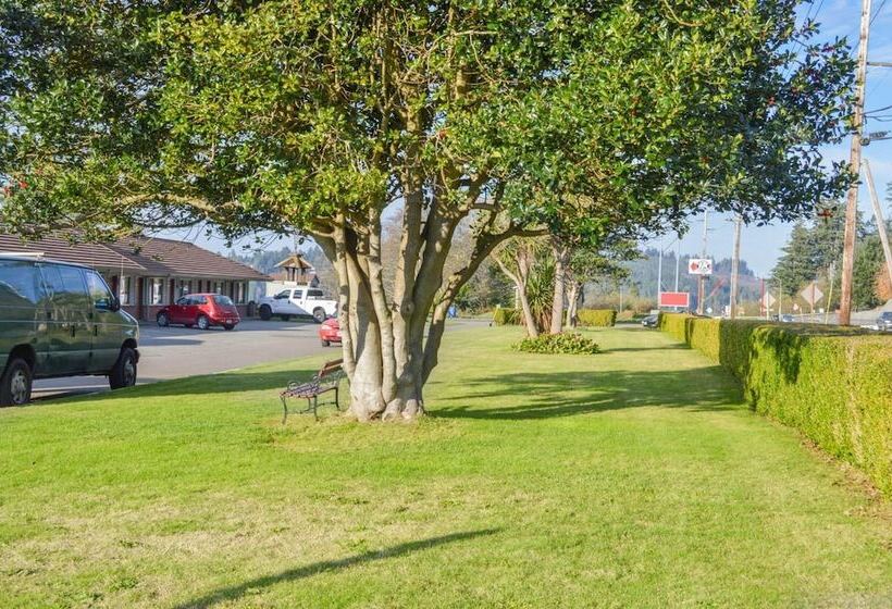 Bay Bridge Motel