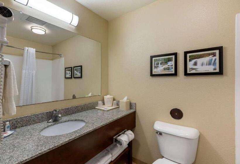 בית מלון כפרי Comfort Inn & Suites Marion I57
