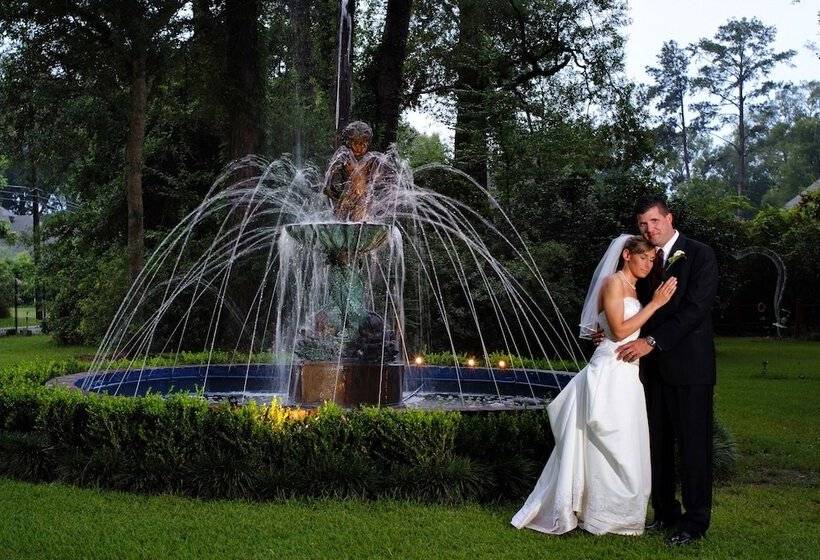 فندق Historic Michabelle Inn