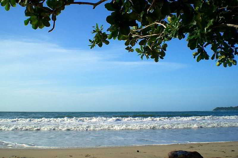 فندق Cariblue Beach and Jungle Resort
