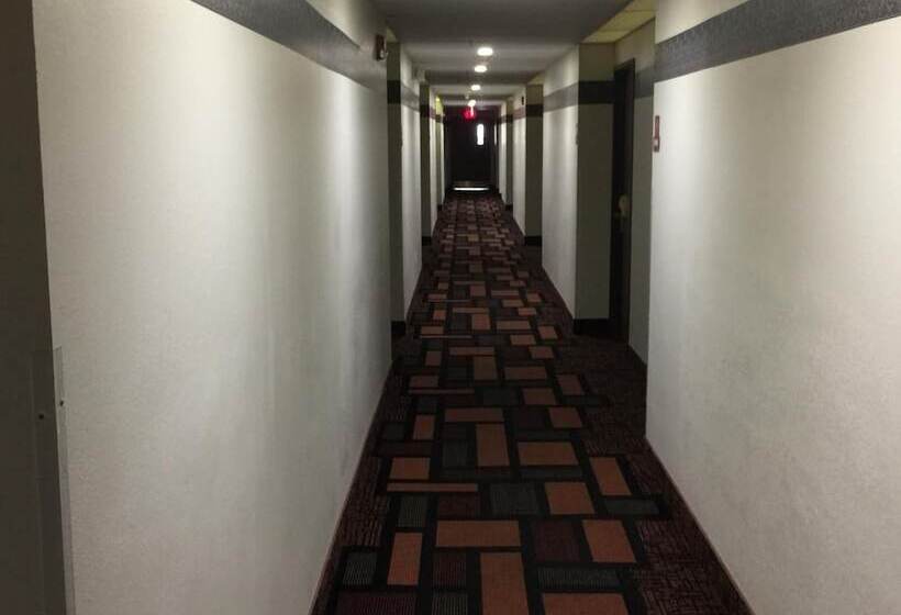 ホテル Amerihost Inn & Suites Fulton