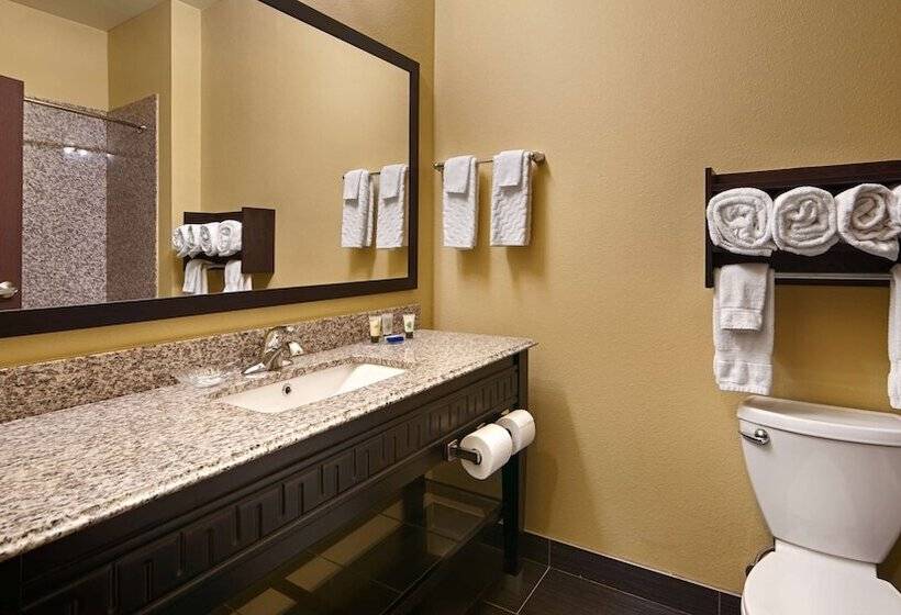 Отель Best Western Plus Carrizo Springs Inn & Suites