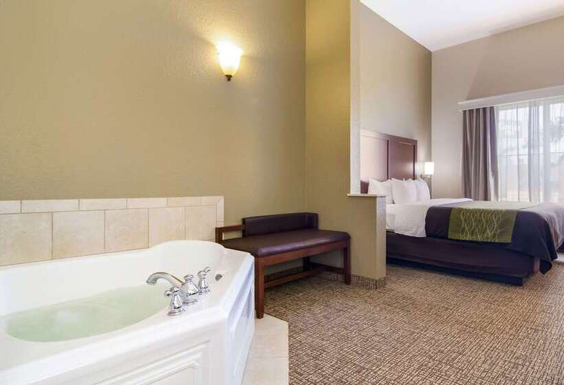 فندق Comfort Inn Blackshear Hwy 84