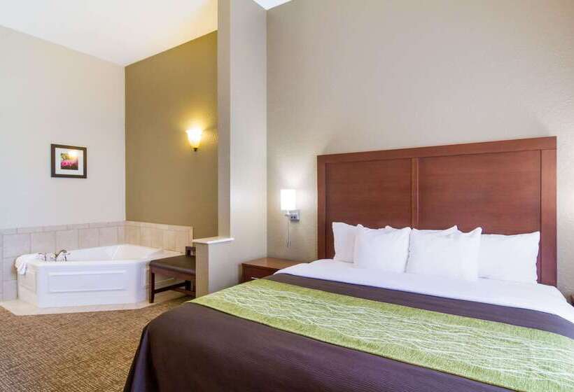 فندق Comfort Inn Blackshear Hwy 84