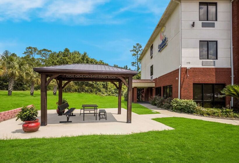 호텔 Comfort Inn & Suites Midway   Tallahassee West