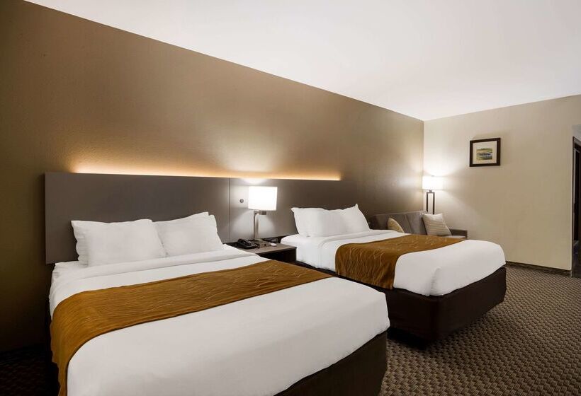 호텔 Comfort Inn & Suites Midway   Tallahassee West