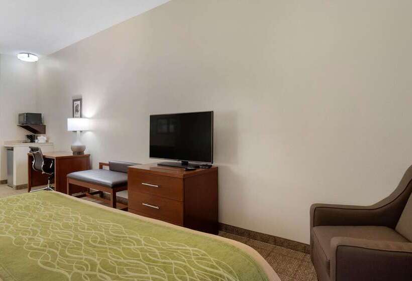בית מלון כפרי Comfort Inn & Suites Port Arthurport Neches