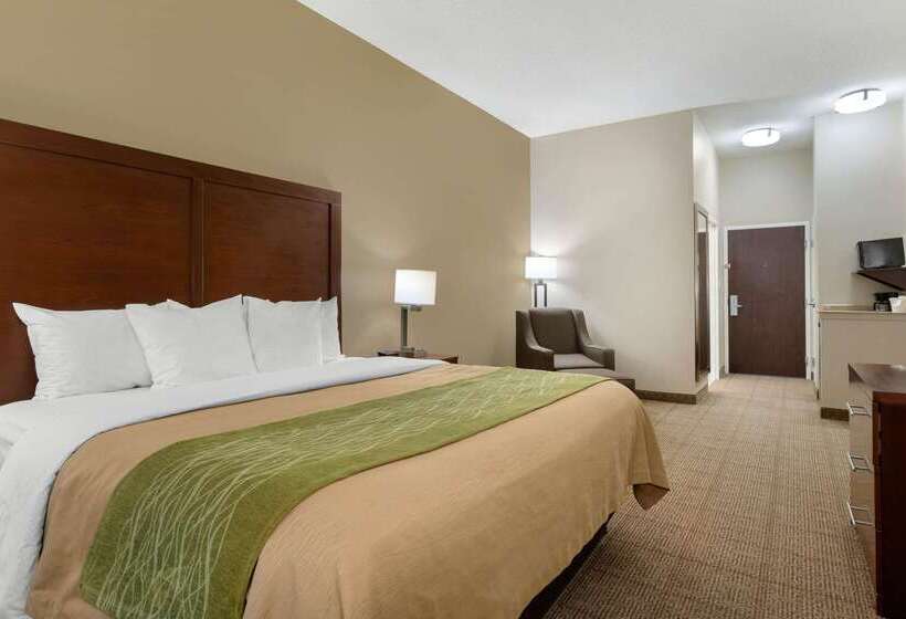 בית מלון כפרי Comfort Inn & Suites Port Arthurport Neches