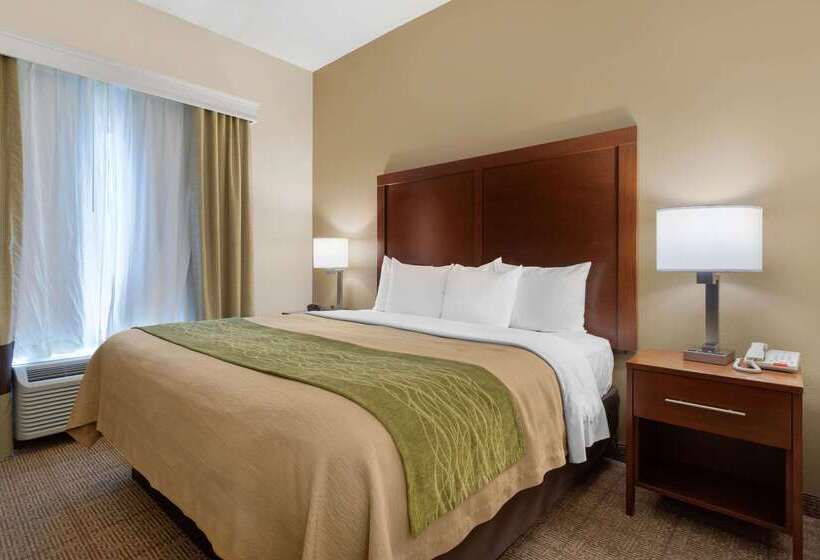 בית מלון כפרי Comfort Inn & Suites Port Arthurport Neches