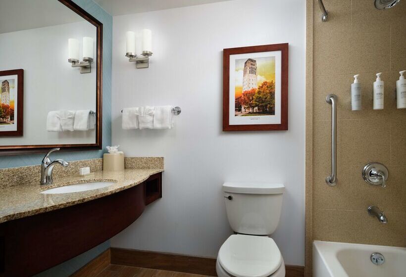 هتل Hilton Garden Inn Ann Arbor